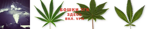 мдпв Володарск