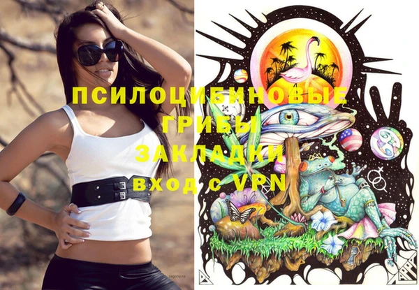 дживик Волосово