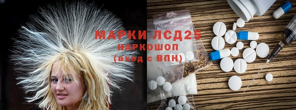 PSILOCYBIN Вяземский